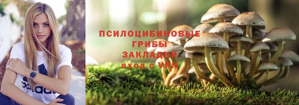 гашишное масло Медногорск
