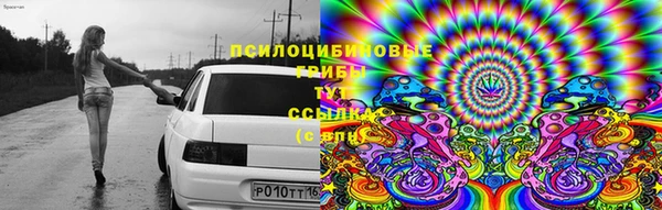 герыч Медвежьегорск
