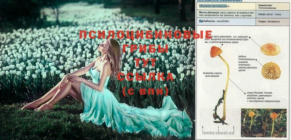 герыч Медвежьегорск