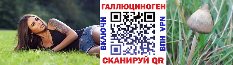 Псилоцибиновые грибы мицелий  наркота  Костерёво 